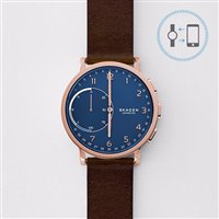 Montre Skagen Homme Hagen in Acier SKT1103 - SKT1103
